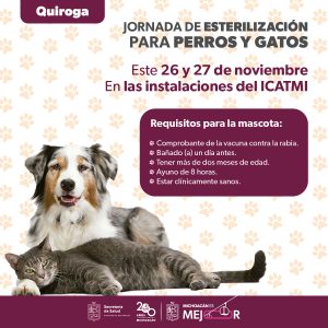 Anuncia SSM jornada de esterilización para perros y gatos en Quiroga