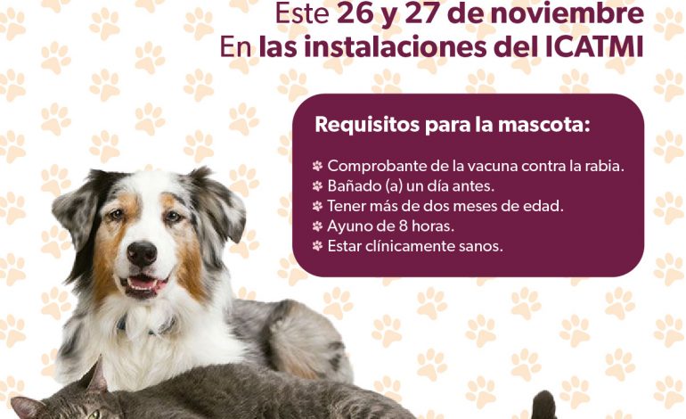 Anuncia SSM jornada de esterilización para perros y gatos en Quiroga