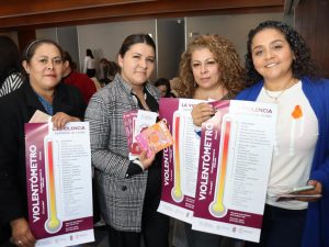 Seimujer va por fortalecer Instancias Municipales de las Mujeres