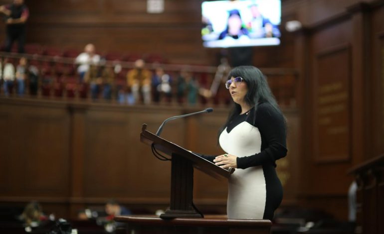 Vanhe Caratachea busca sanción penal para quienes abandonen a adultos mayores o a menores