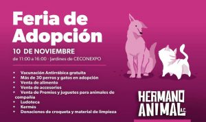 Hermano Animal invita a Jornada de Esterilización y Feria de Adopción canina y gatuna el fin de semana