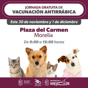 SSM anuncia vacunación antirrábica este fin de semana en el Centro de Morelia