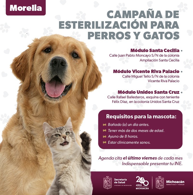 Morelia y Zamora con más esterilizaciones de mascotas: SSM