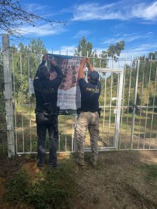 Cumplimenta FGE orden de cateo en predio relacionado en delitos contra el ambiente; se detectó plantación de aguacate