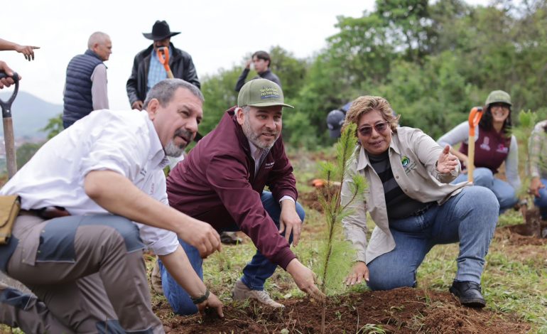 Más de 16 millones de árboles plantados en 2024