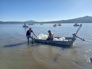 En 2024 Michoacán fortaleció acuicultura con producción de 6 millones de crías de tilapia