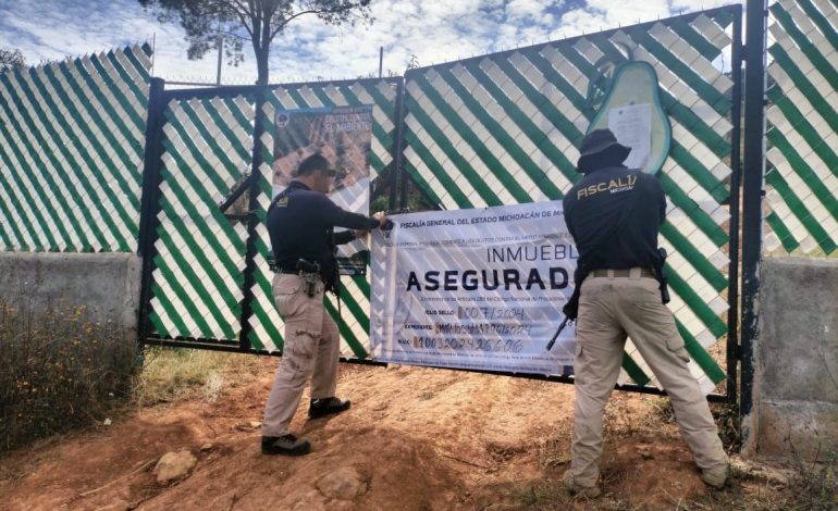 Cumplimenta FGE orden de cateo y asegura predio relacionado en delitos contra el ambiente; se detectó plantación de aguacate