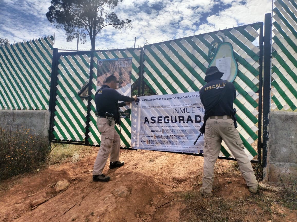 Cumplimenta FGE orden de cateo y asegura predio relacionado en delitos contra el ambiente; se detectó plantación de aguacate