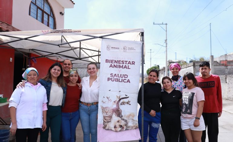 Fomenta Sedebi bienestar animal con jornadas de esterilización