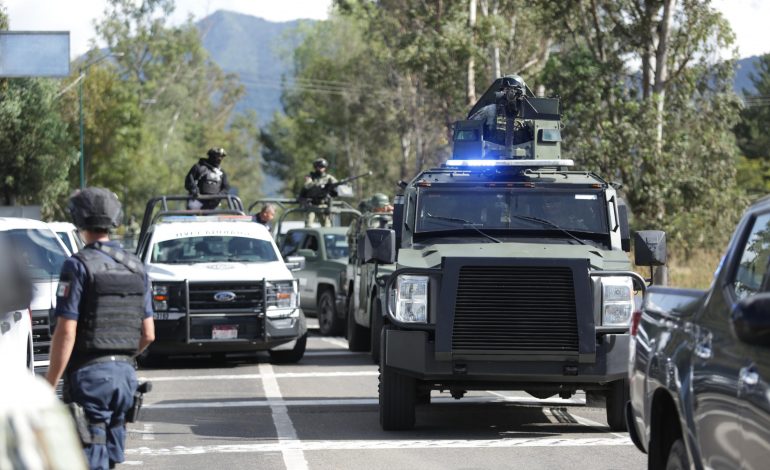 En noviembre se decomisaron más de 160 kg de droga: SSP