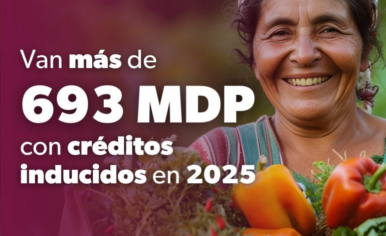 Sí Financia planea colocar más de 693 mdp con créditos inducidos en 2025