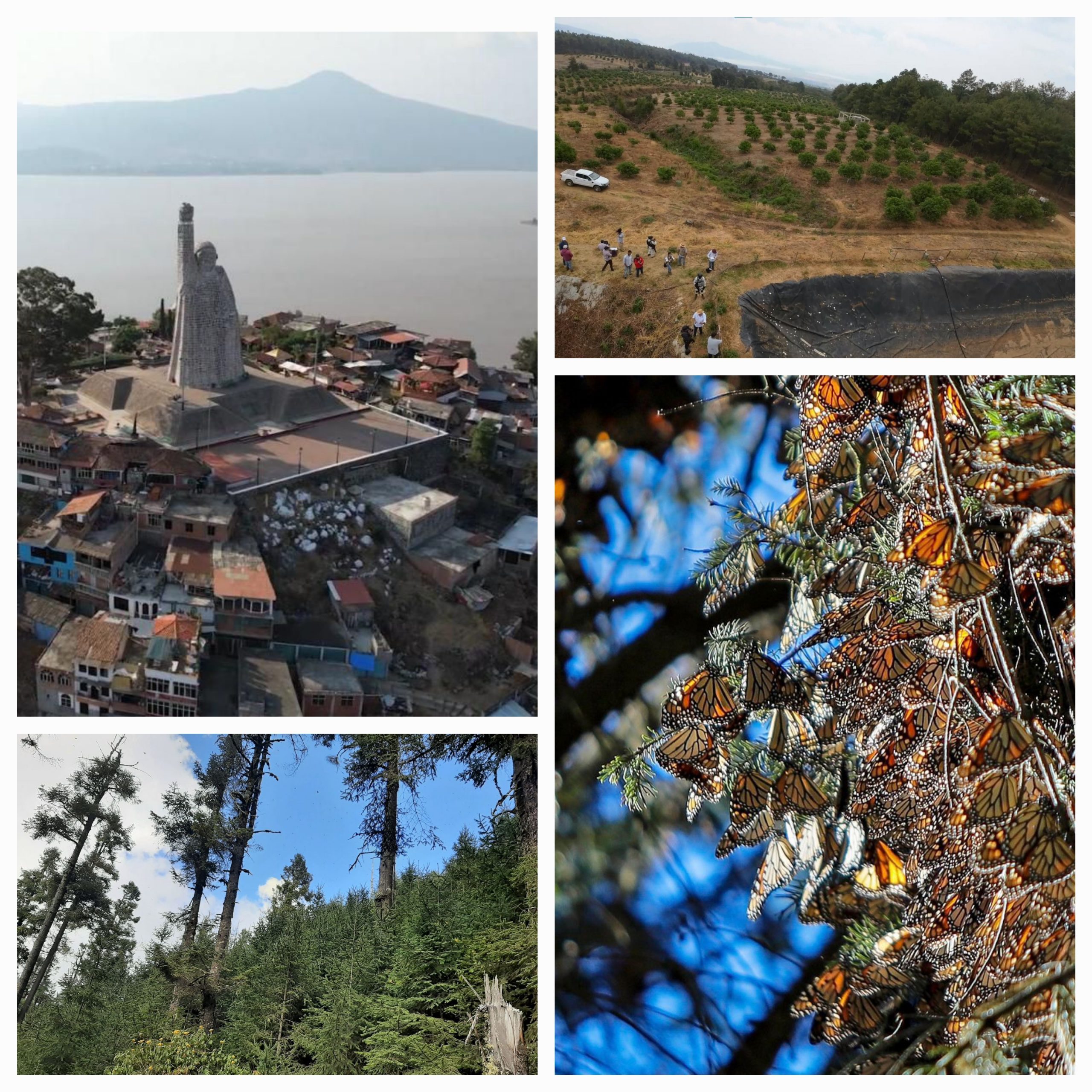 Aumento presupuestal a medio ambiente impulsará 6 grandes proyectos: Secma