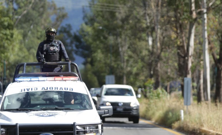 Aseguradas casi 60 armas durante noviembre: SSP