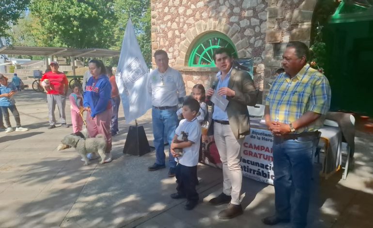 Zitácuaro se vuelve amigable para las mascotas: nuevo refugio, parque y concursos de disfraces.