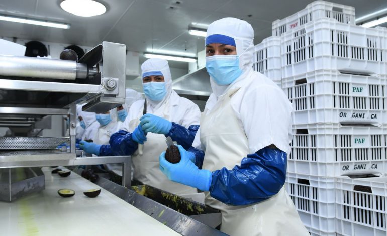 En Gobierno de Bedolla se han creado más de 31 mil nuevos empleos.