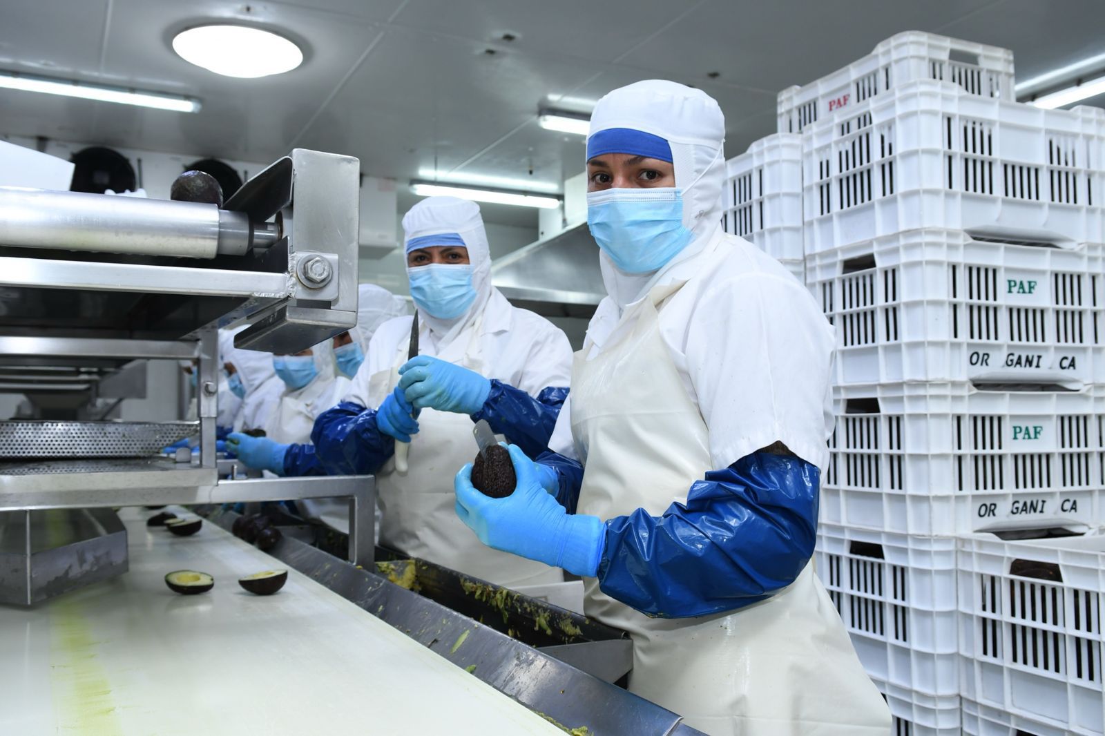 En Gobierno de Bedolla se han creado más de 31 mil nuevos empleos.
