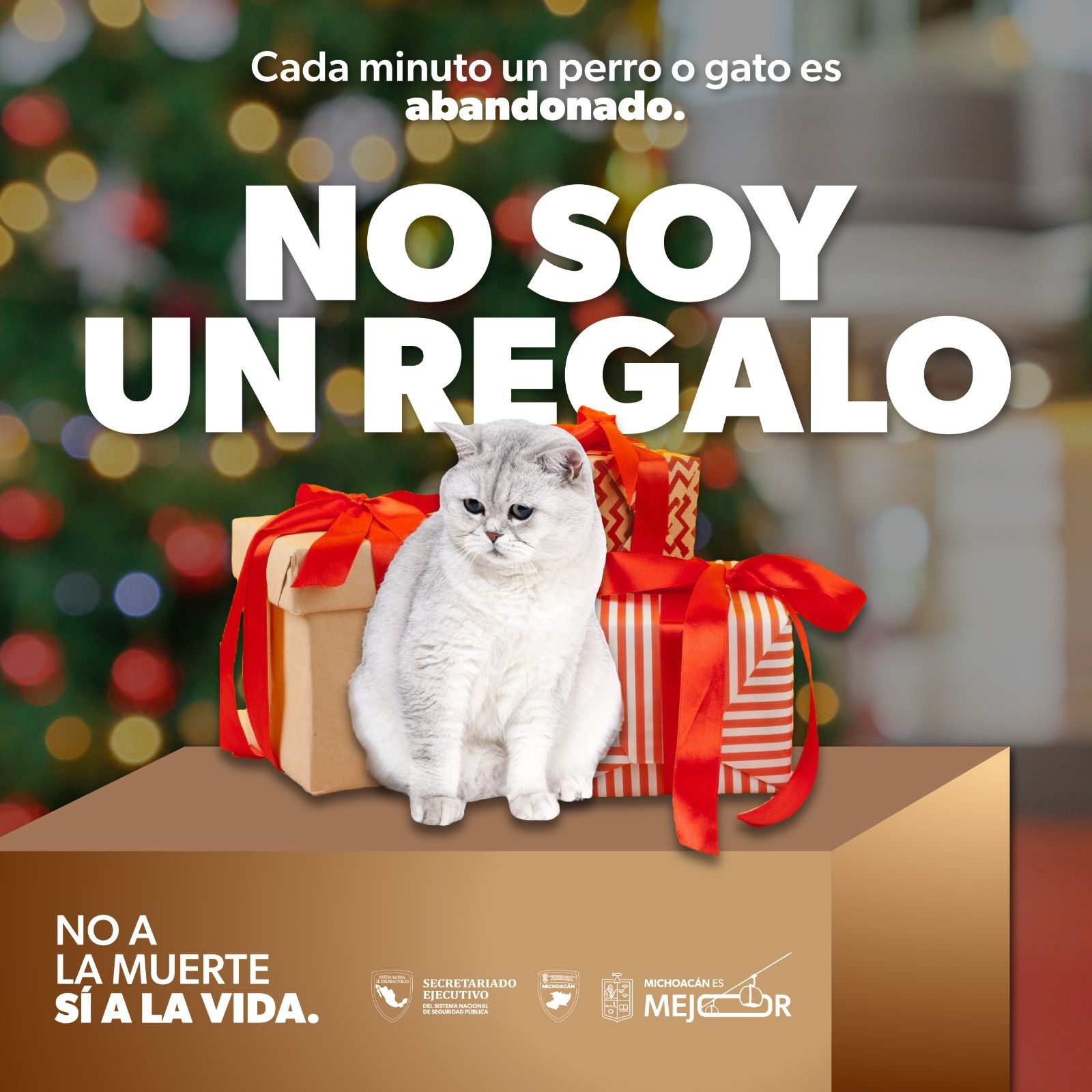 Por esta razón no debes regalar mascotas en Navidad