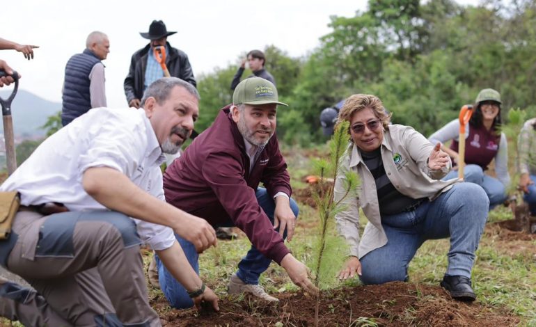 Se avanzó en la recuperación del lago de Pátzcuaro; se plantaron 1.8 millones de árboles: Bedolla