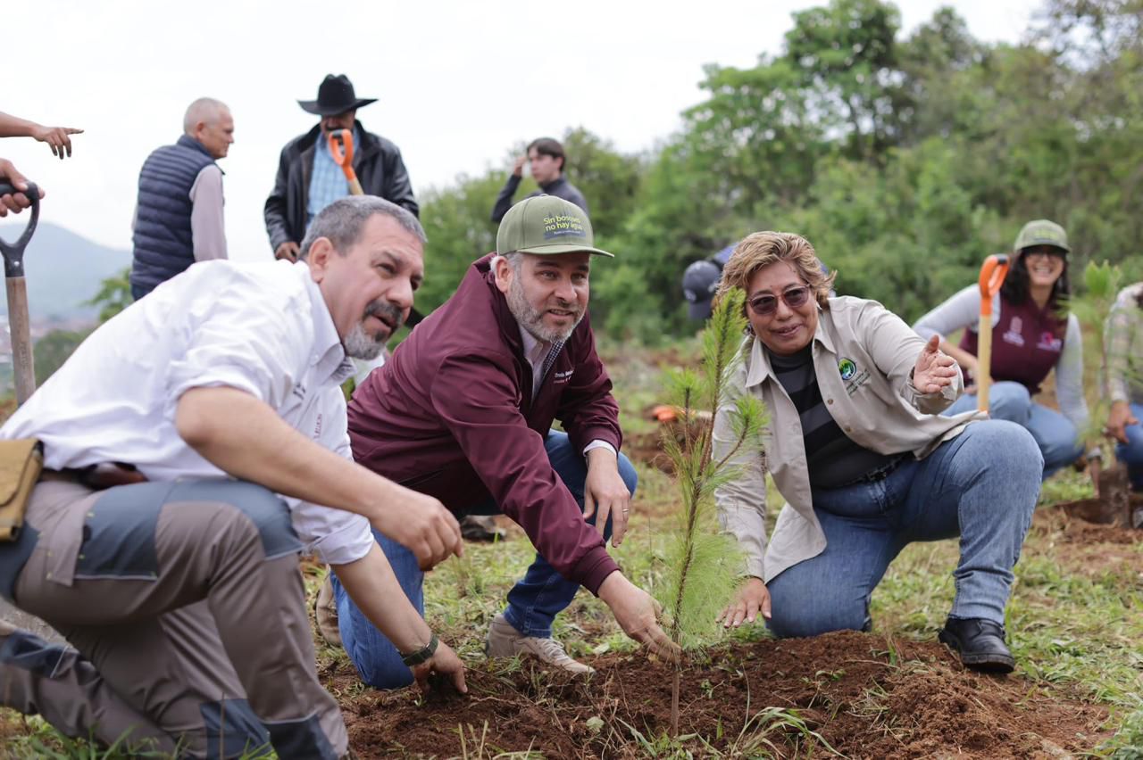 Se avanzó en la recuperación del lago de Pátzcuaro; se plantaron 1.8 millones de árboles: Bedolla