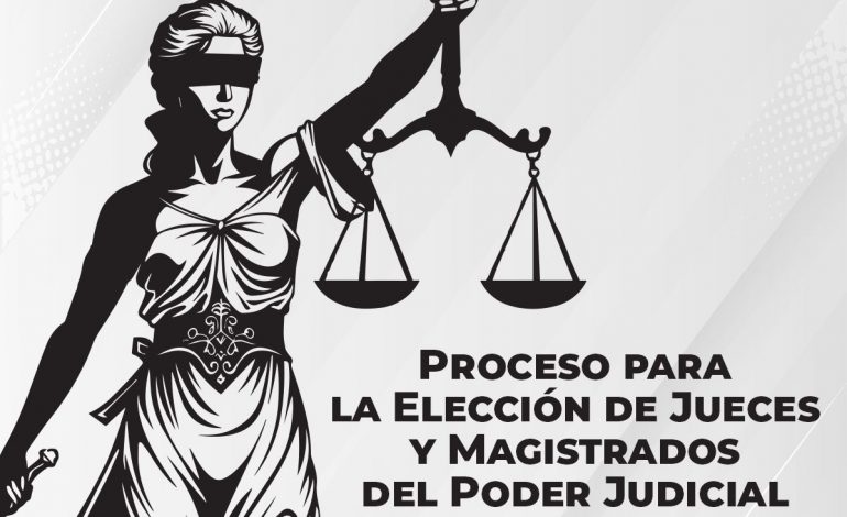 Invita Celeste Ascencio a profesionistas del Derecho a participar en elección judicial