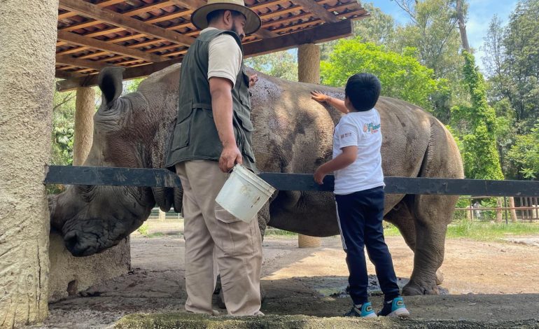 Los viernes son de aventura y diversión en el Zoológico de Morelia