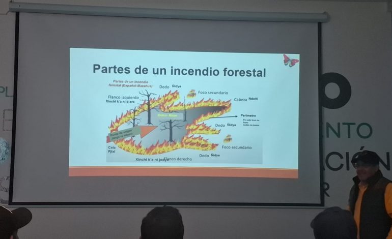 Michoacán se prepara para la temporada de incendios forestales.