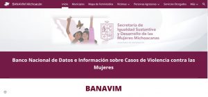 Con Banavim, Seimujer fortalece datos de violencia contra mujeres