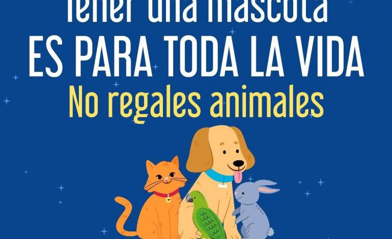 Fiscalía General refuerza acciones para erradicar la venta de animales en el operativo de Día de Reyes.