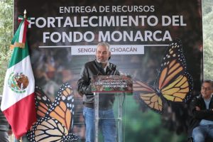 Con Fondo Monarca aumentó pago de servicios ambientales para cuidar la mariposa: Bedolla.
<br>