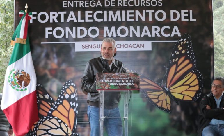 Con Fondo Monarca aumentó pago de servicios ambientales para cuidar la mariposa: Bedolla.
