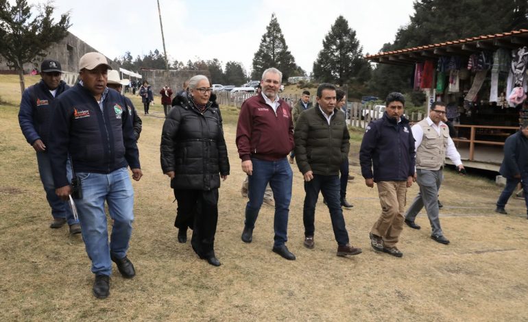 Guardián Forestal vigila permanentemente la Reserva de la Biósfera de la Mariposa Monarca: Bedolla.