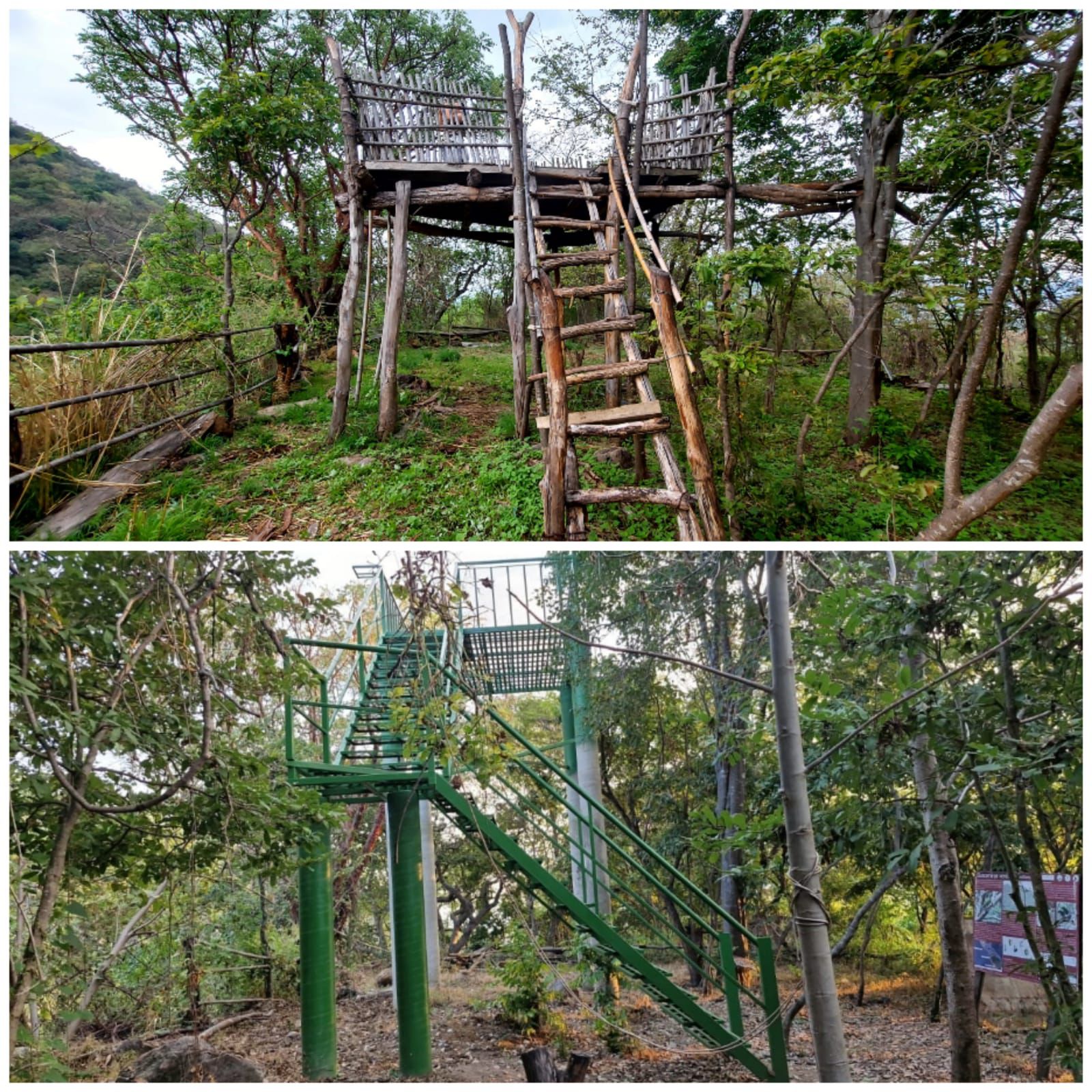 Michoacán destinó más de medio mdp del Fondo Ambiental en acciones de conservación.