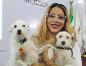 ¿Quieres un michi o lomito? Icatmi anuncia feria de la adopción en Morelia