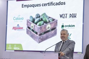 Exhorta Bedolla a APEAM y Udecam a certificarse en antideforestación