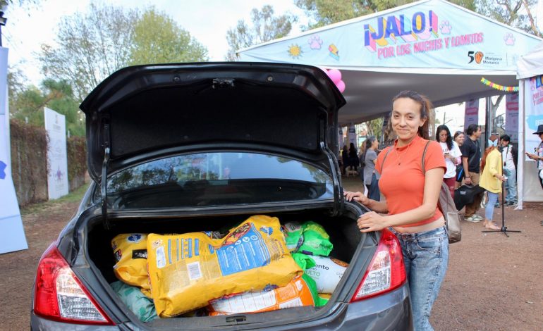 «Jalo por los Michis y Lomitos» logró la adopción de 33 perros y dos gatos