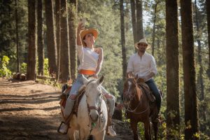 Disfruta del amor y la naturaleza en los Santuarios de la Mariposa Monarca