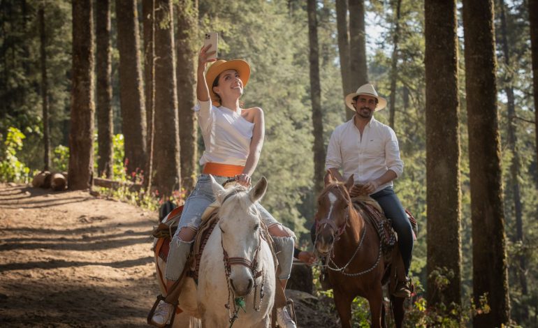 Disfruta del amor y la naturaleza en los Santuarios de la Mariposa Monarca