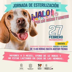 SSM realizará esterilizaciones caninas y felinas sin costo en estos municipios