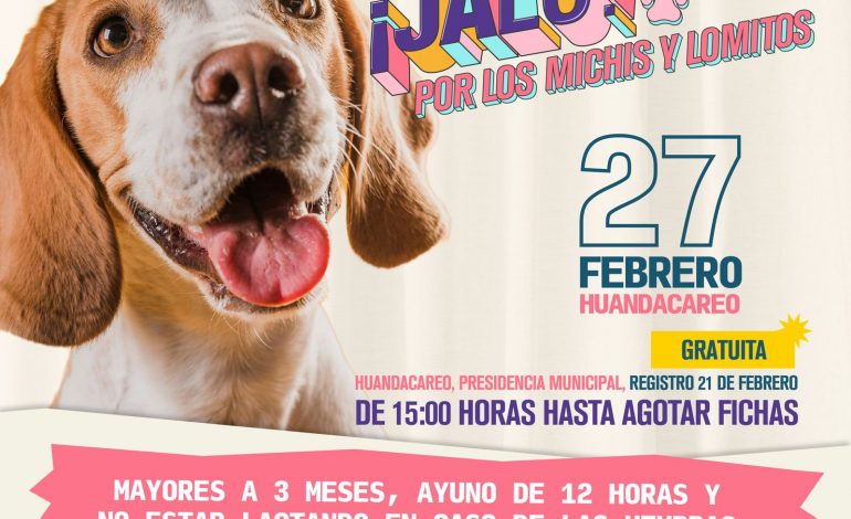 SSM realizará esterilizaciones caninas y felinas sin costo en estos municipios