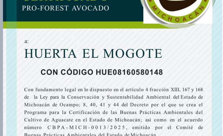 Certificación contra la deforestación ProForest Avocado es voluntaria: Bedolla.