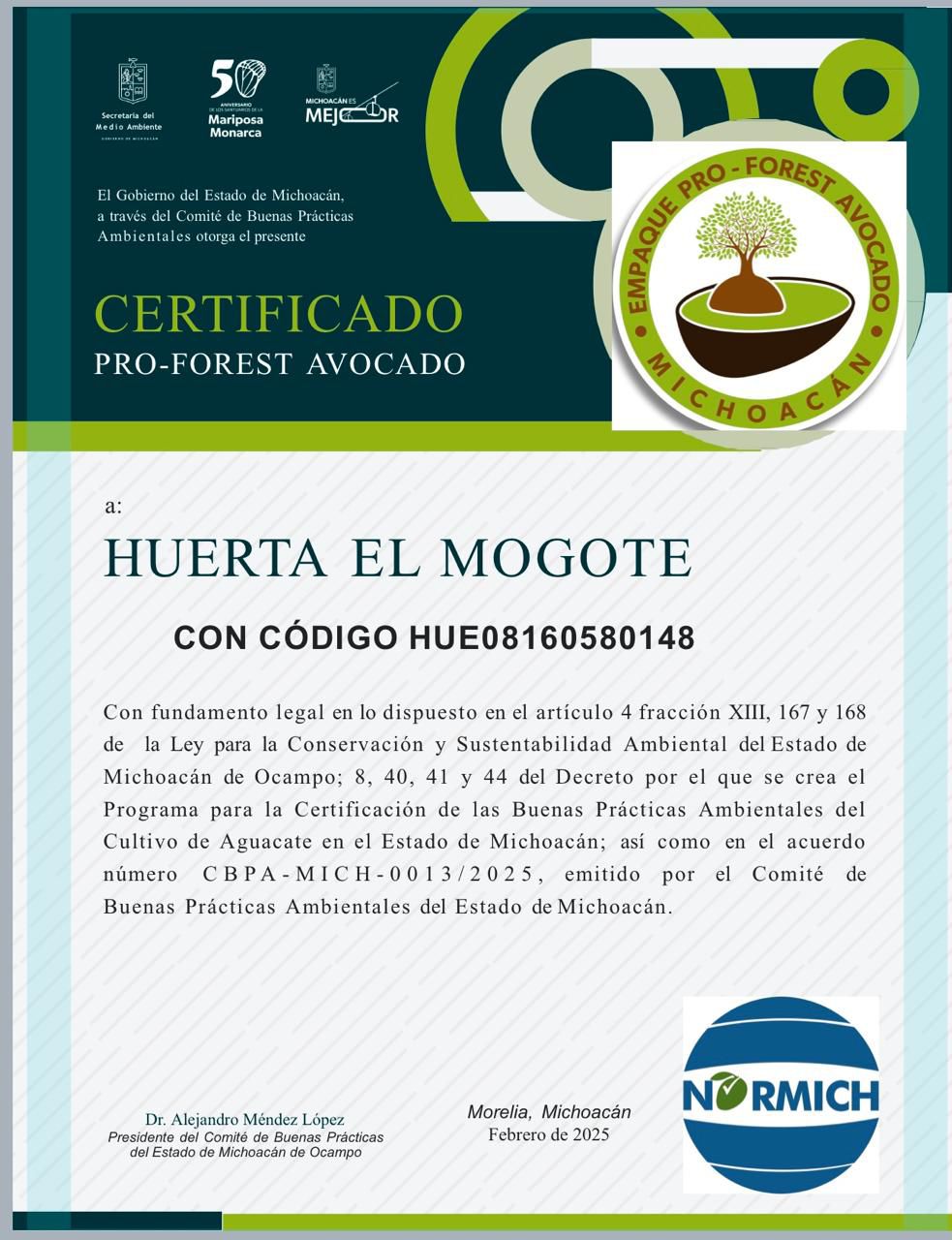 Certificación contra la deforestación ProForest Avocado es voluntaria: Bedolla.