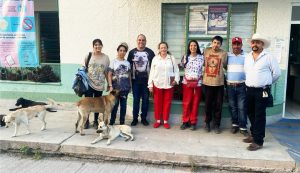 Jornadas de esterilización fortalecen bienestar animal: Sedebi