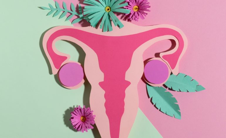 Detección temprana, clave en lucha contra el cáncer de cuello uterino: SSM