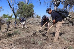 Guardia Civil se capacita para combatir incendios forestales: SSP