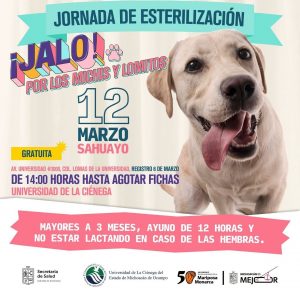 Esterilización gratuita para animales de compañía en tres municipios: SSM