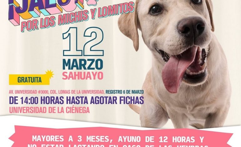 Esterilización gratuita para animales de compañía en tres municipios: SSM