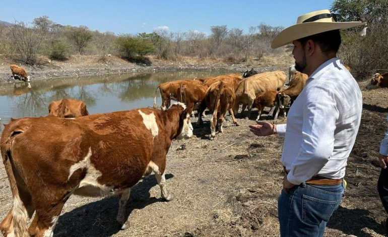 PRD Michoacán cierra filas con productores ante aranceles de Estados Unidos: Octavio Ocampo