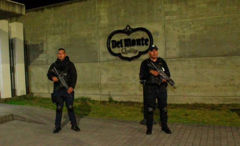 Policía Auxiliar vigila empaques de mango y aguacate para exportación