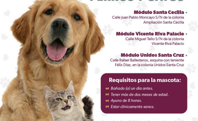 Conoce la importancia de esterilizar y vacunar a tus mascotas.
