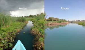 Avanza rescate de La Mintzita; extraídos más de mil metros cúbicos de maleza: Secma.<br>